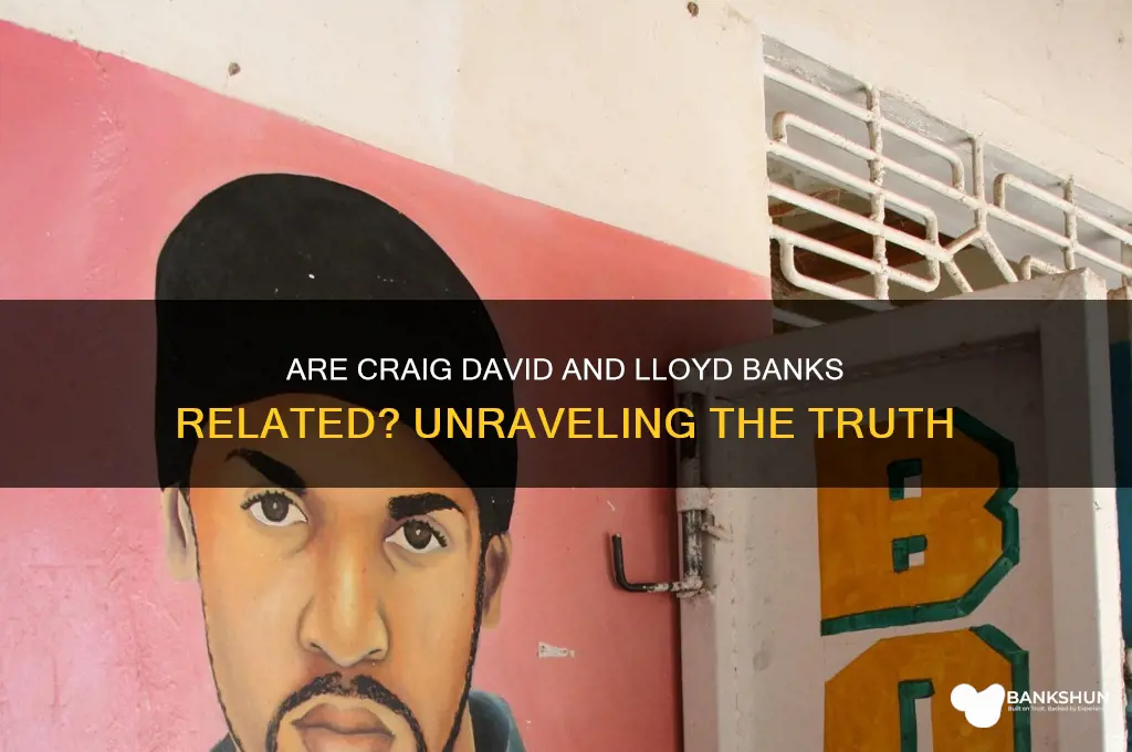is craig david and lloyd banks related