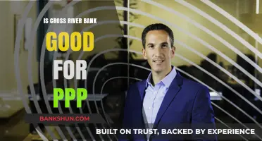 Cross River Bank for PPP Loans: Pros, Cons, and Suitability