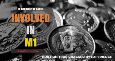 Understanding M1: Does Bank Currency Play a Role?