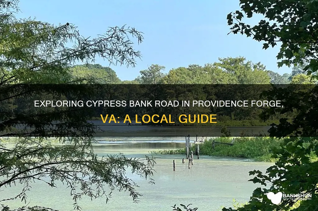 is cypress bank road providence forge va