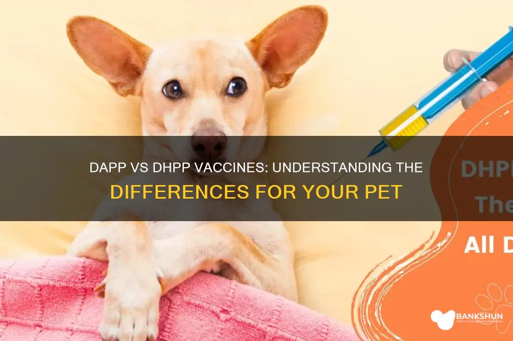 is dap and dhpp vaccine the same