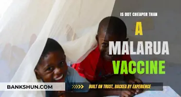 DDT vs. Malaria Vaccine: Cost Comparison and Effectiveness Analysis