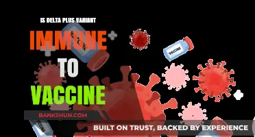 Delta Plus Variant: Vaccine Immunity Concerns and Scientific Insights