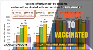 Delta Variant: Are Vaccinated Individuals Still at Risk?