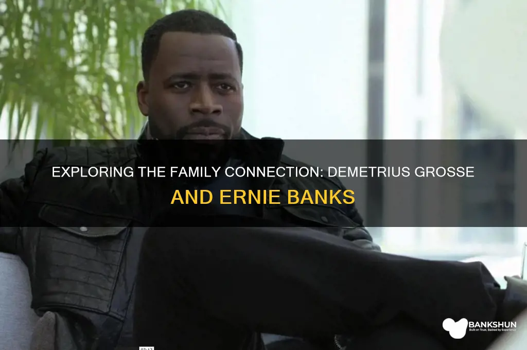 is demetrius grosse relaryed to ernie banks
