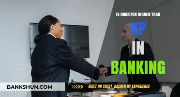 Director vs. VP in Banking: Understanding the Hierarchy and Roles