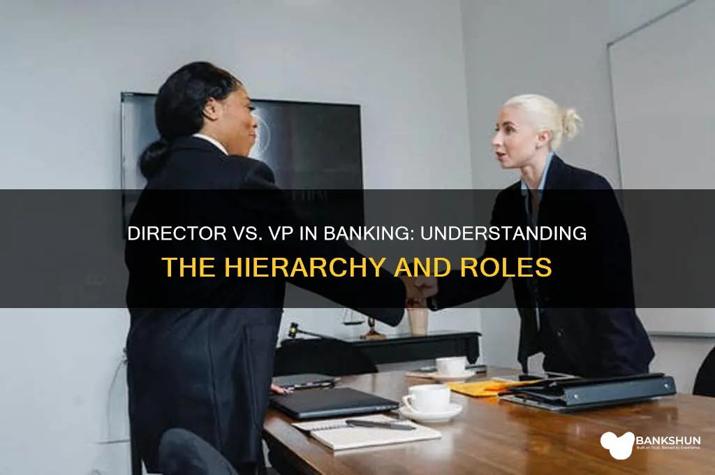 is director higher than vp in banking