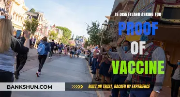 Disneyland Vaccine Requirements: Proof of Vaccination Needed for Entry?