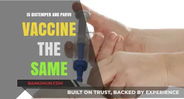 Distemper vs Parvo Vaccine: Understanding the Differences and Similarities