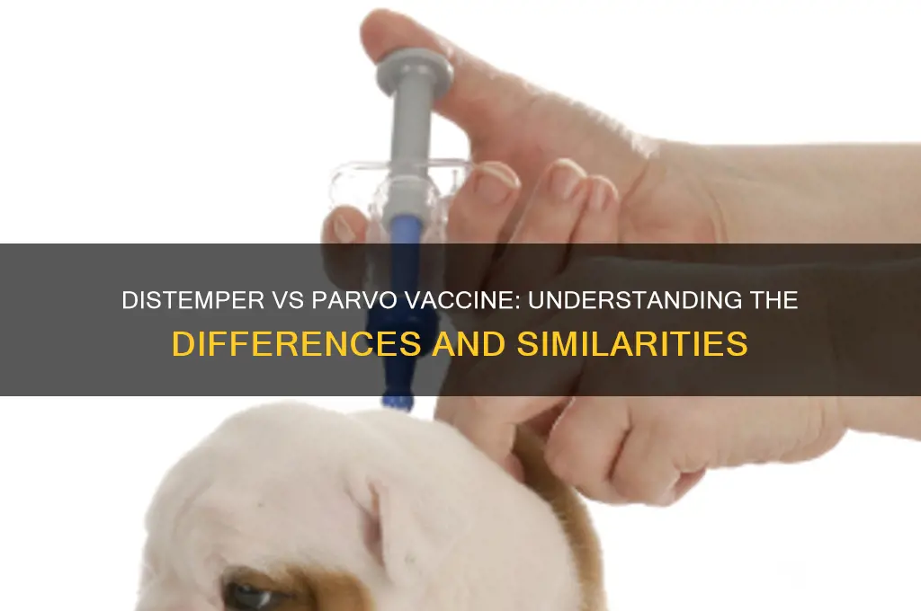 is distemper and parvo vaccine the same