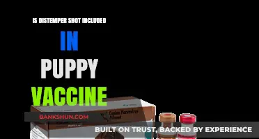 Puppy Vaccines Explained: Does Distemper Shot Come Included?