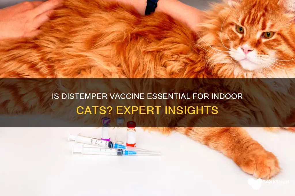 is distemper vaccine necessary for indoor cats