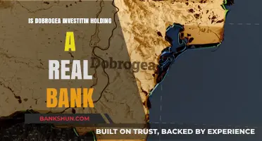Is Dobrogea Investitin Holding a Legitimate Bank? Unveiling the Truth