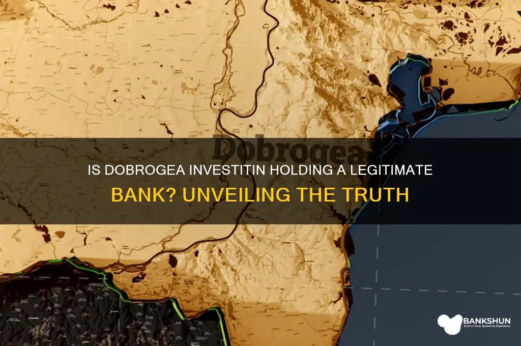 is dobrogea investitin holding a real bank