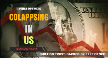 Is the US Dollar and Banking System on the Brink of Collapse?