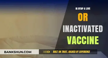 Is DTaP a Live or Inactivated Vaccine? Understanding the Difference
