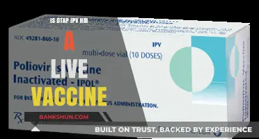 Is DTaP-IPV-Hib a Live Vaccine? Understanding Its Composition