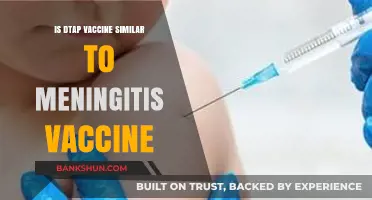 DTaP vs. Meningitis Vaccine: Similarities, Differences, and Protection Explained