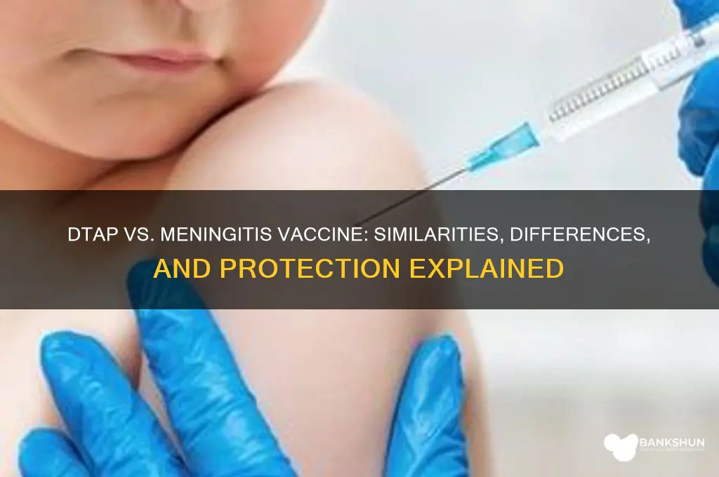 is dtap vaccine similar to meningitis vaccine