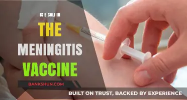 E. Coli in Meningitis Vaccines: Fact or Fiction Explained