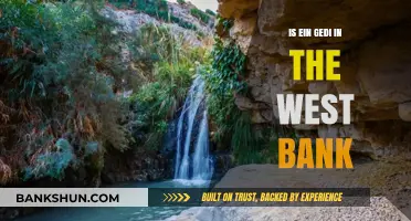Is Ein Gedi in the West Bank? Exploring Its Location and Significance