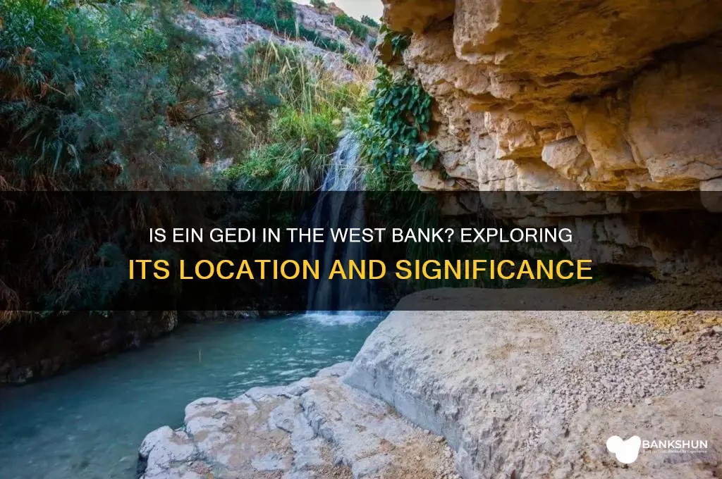 is ein gedi in the west bank