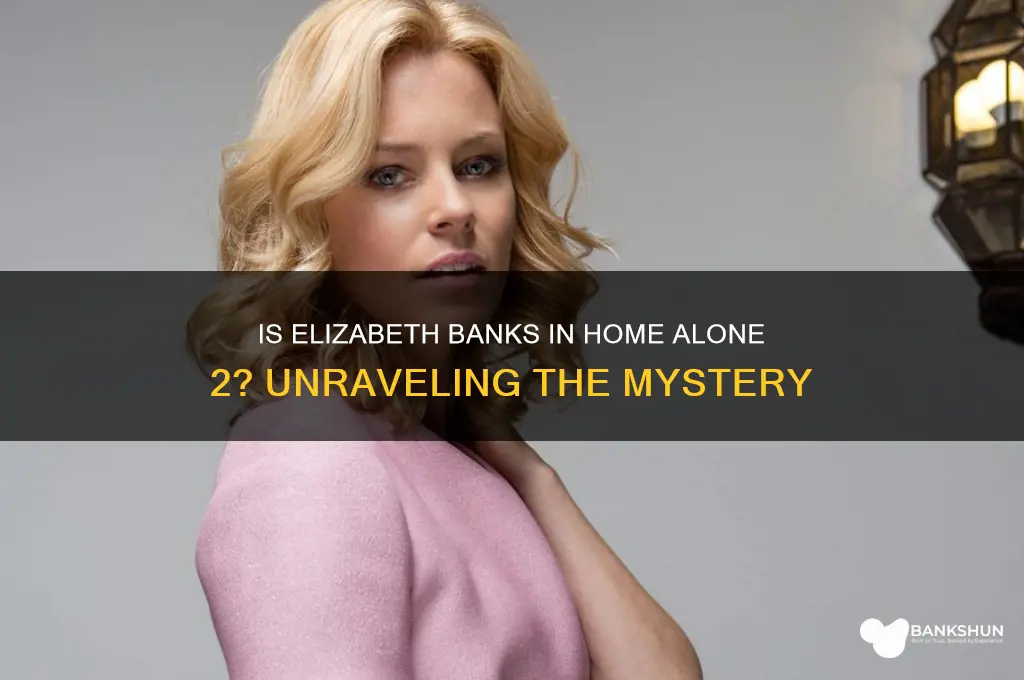 is elizabeth banks in home alone 2