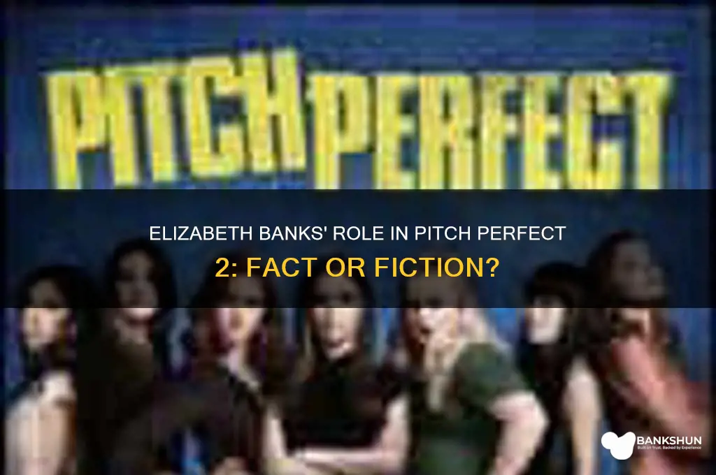 is elizabeth banks in pitch perfect 2