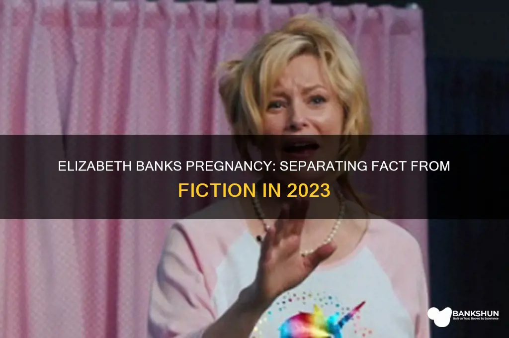 is elizabeth banks pregnant in real life