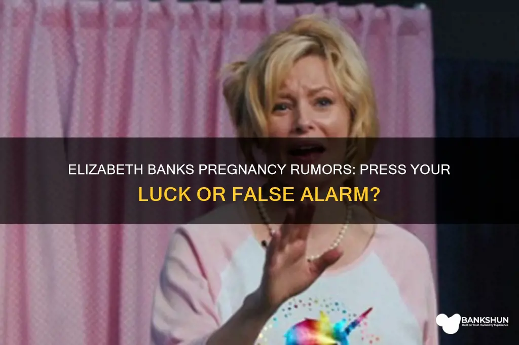 is elizabeth banks pregnant press your luck