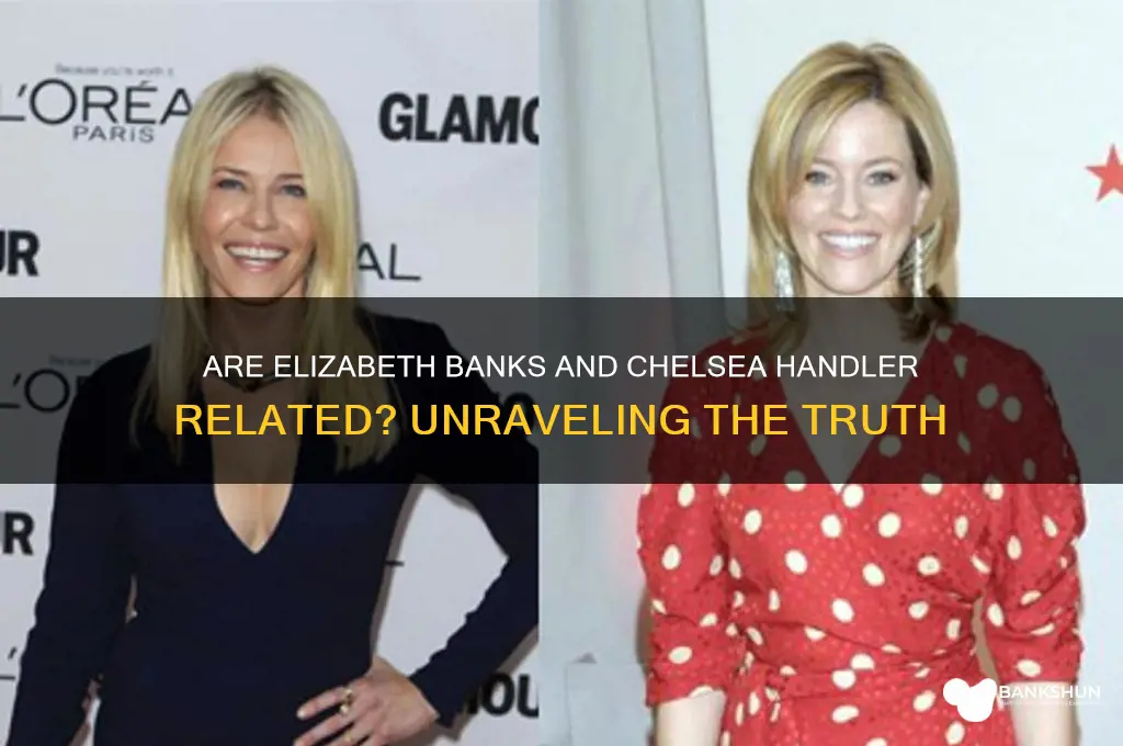 is elizabeth banks related to chelsea handler