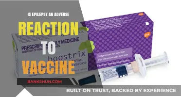 Exploring the Link: Epilepsy and Vaccine Adverse Reactions