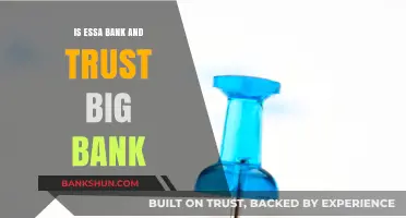 Is Essa Bank & Trust a Big Bank? Exploring Its Size and Impact