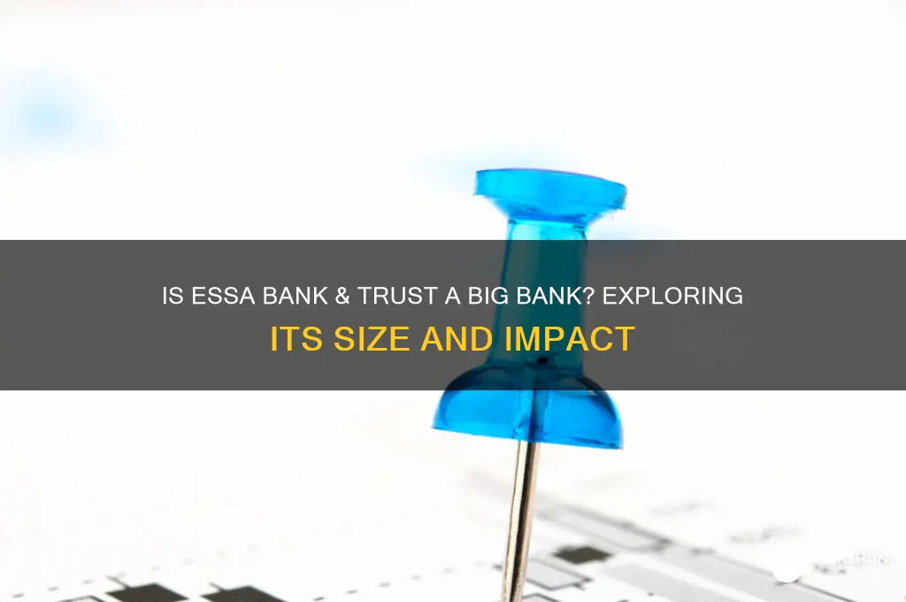 is essa bank and trust big bank