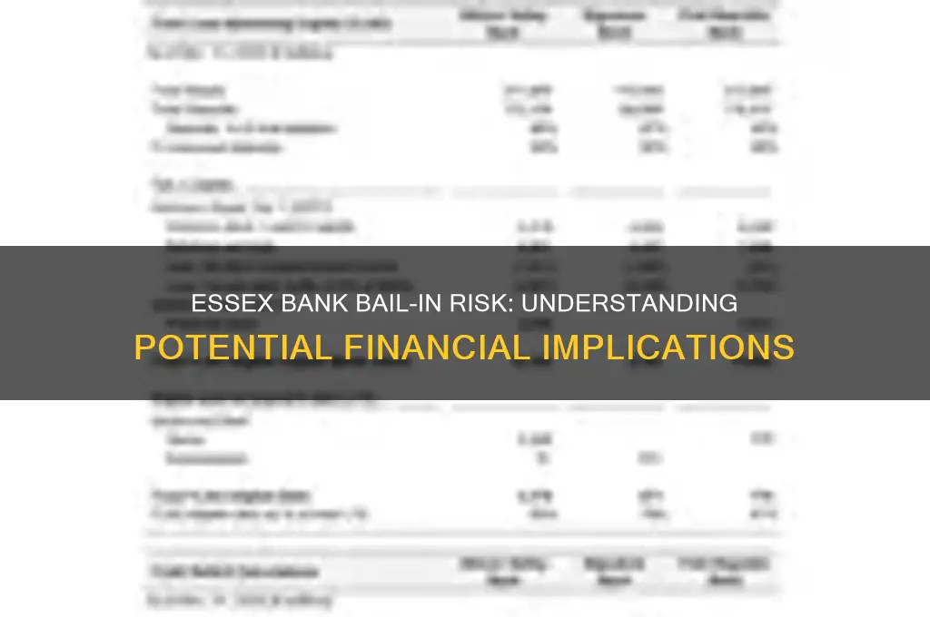 is essex bank and bail in risk