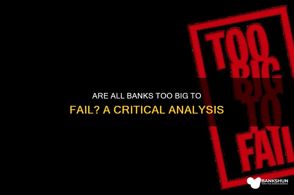 is every bank too big to fail