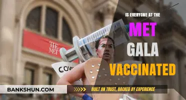 Met Gala 2023: Vaccination Status and Guest Safety Measures