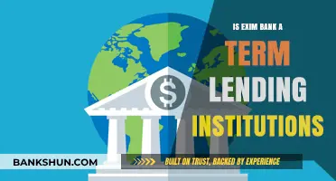 Understanding Exim Bank's Role as a Term Lending Institution
