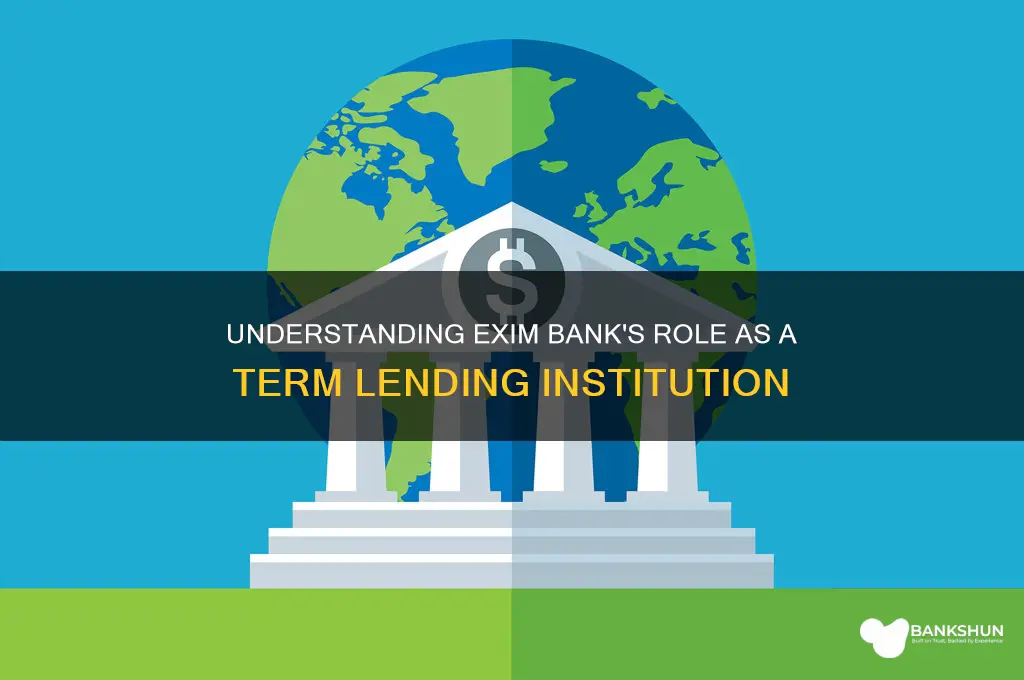 is exim bank a term lending institutions