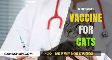 Is FELV a Core Vaccine for Cats? Essential Insights for Pet Owners