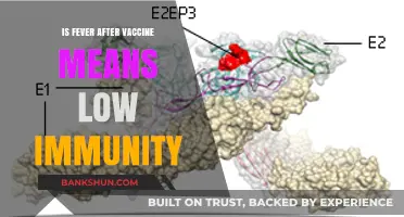Does Post-Vaccine Fever Indicate Weak Immunity? Unraveling the Myth