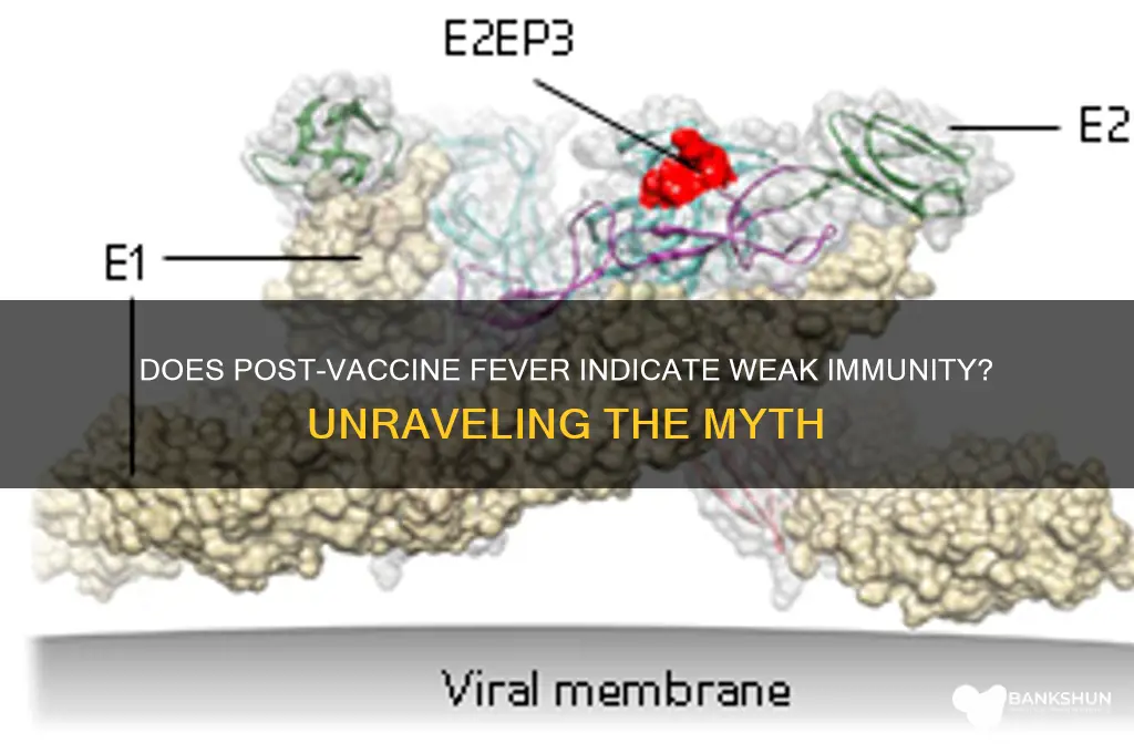 is fever after vaccine means low immunity