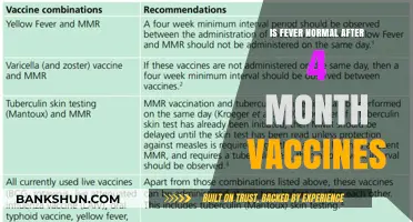 Is Fever Normal After 4-Month Vaccines? What Parents Should Know