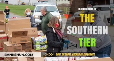 Is Food Bank of the Southern Tier a Lifeline for Local Communities?