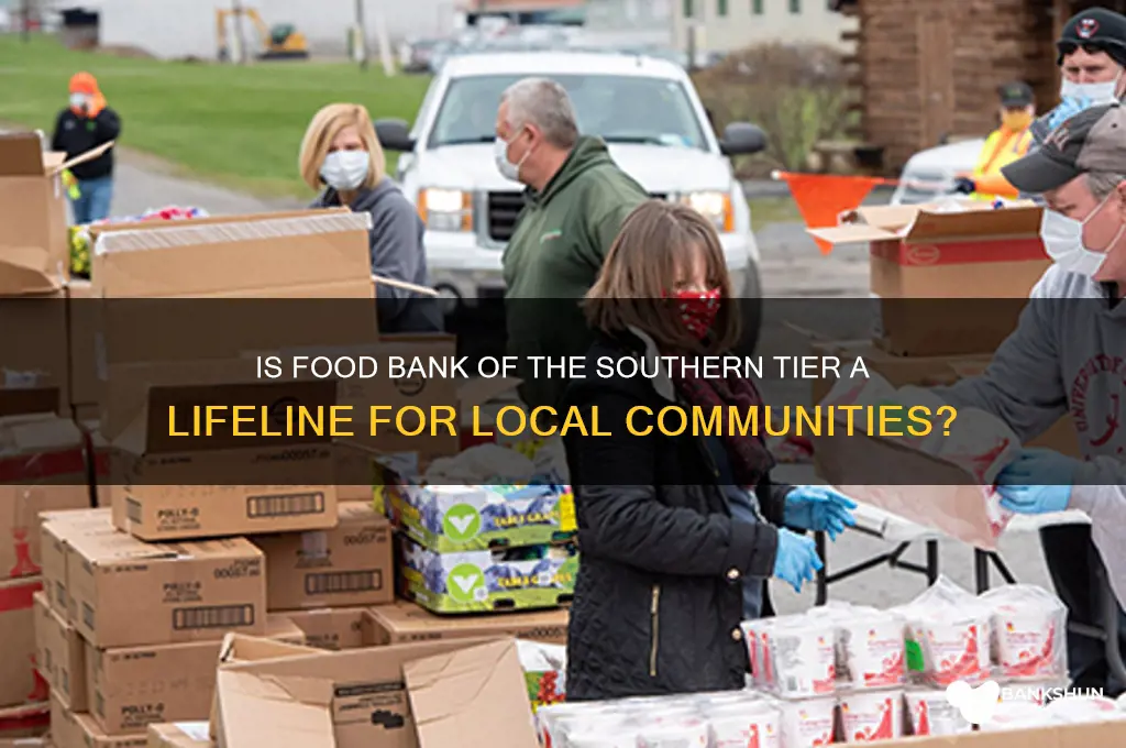 is food bank of the southern tier