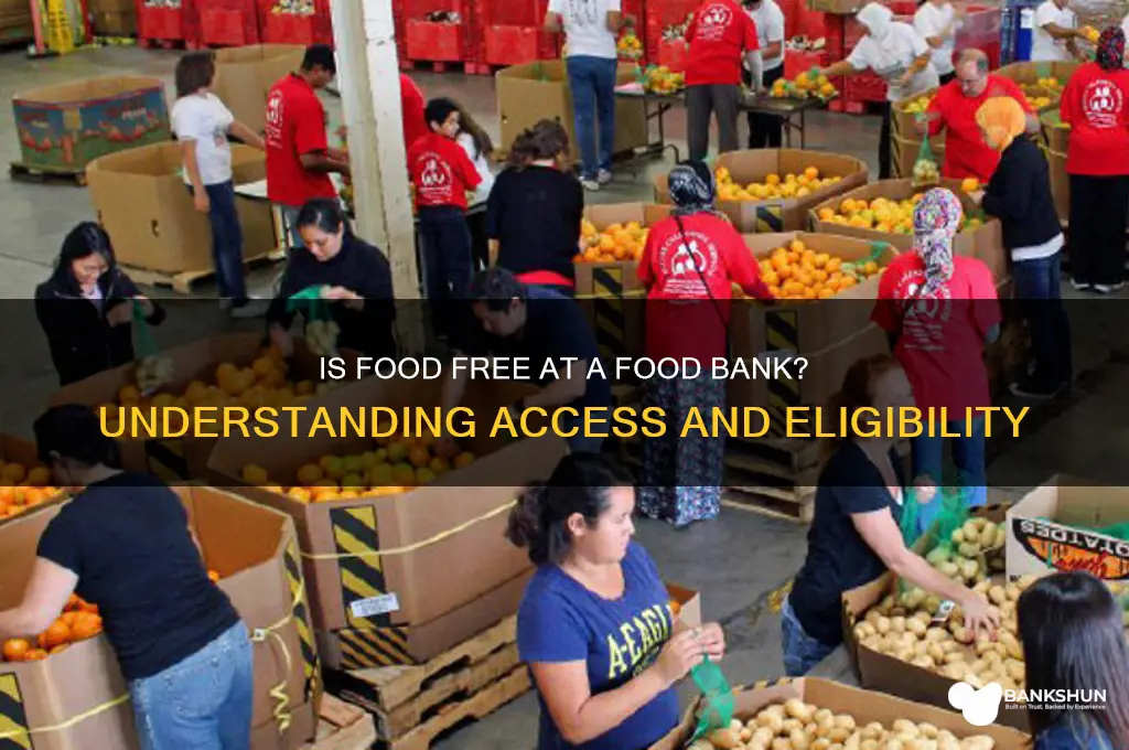 is food free at a food bank