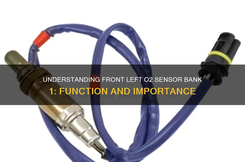 is front left 02 sensor bank 1
