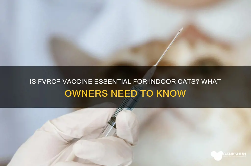 is fvrcp vaccine necessary for indoor cats