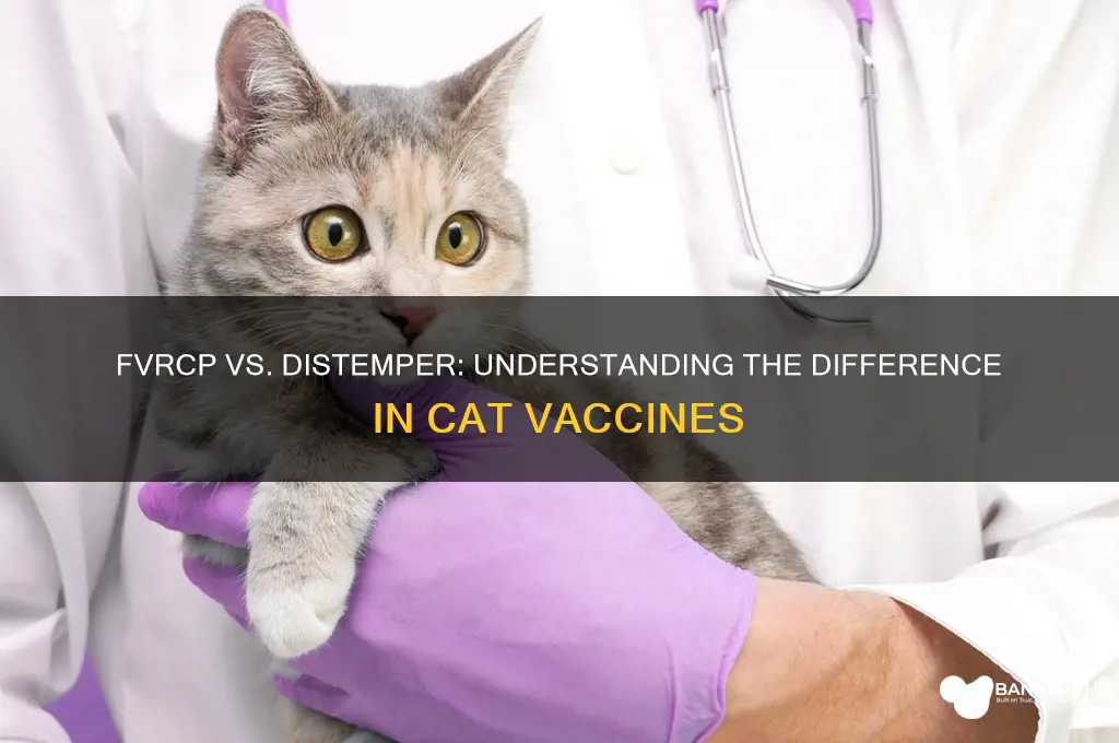 is fvrcp vaccine the same as distemper