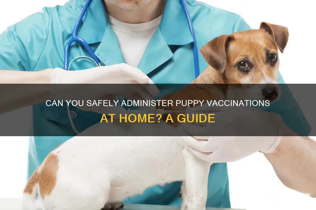 is giving the puppy vaccinations at home